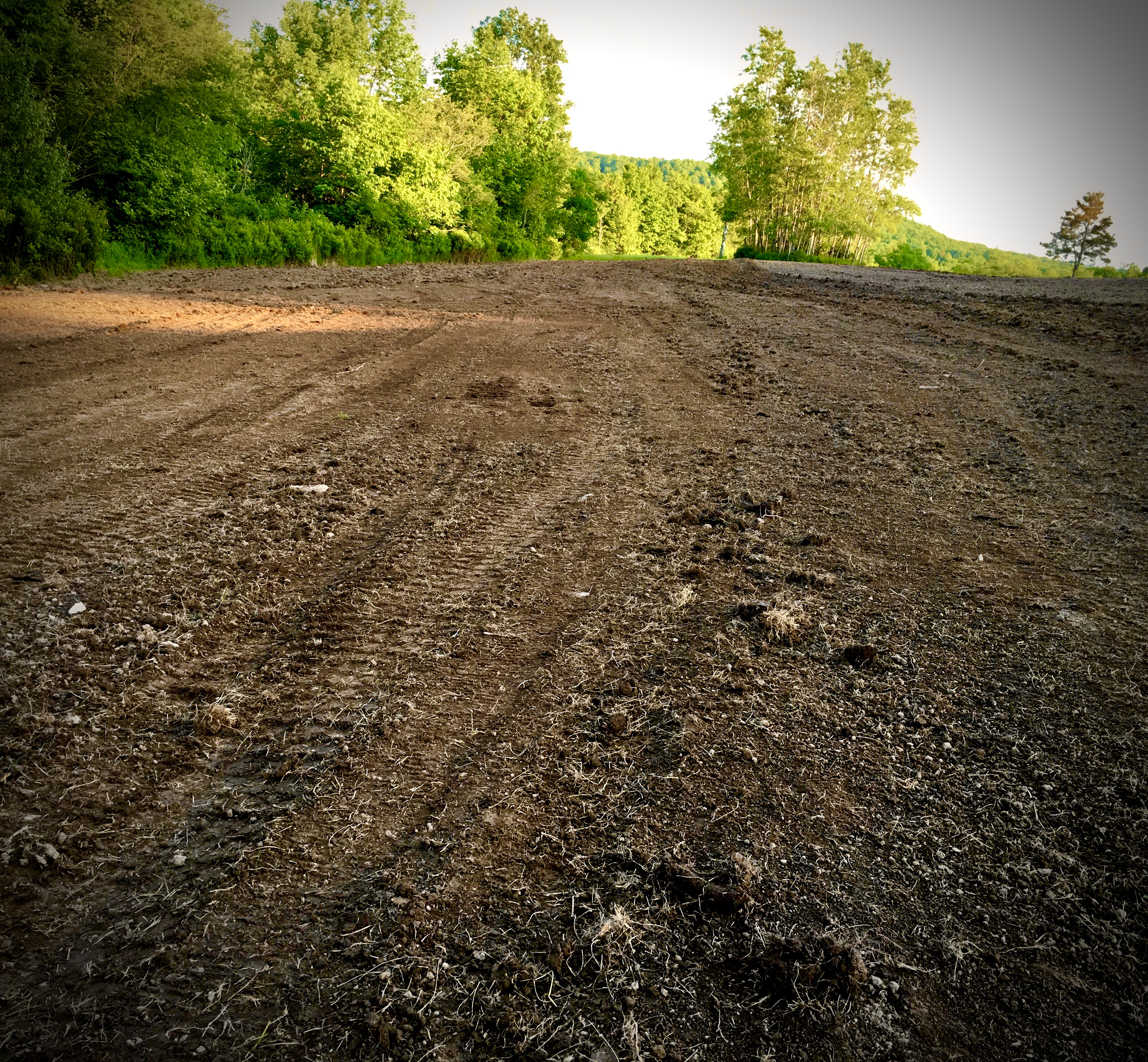 Food Plot Work